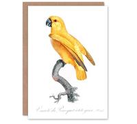 Artery8 Francois Levaillant Art Card Lutino Senegal Parrot