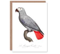 Artery8 Francois Levaillant Art Card Psittacus Erithacus Grey Parrot