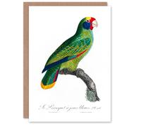 Artery8 Francois Levaillant Art Card Red And Blue Amazon Parrot