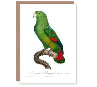 Artery8 Francois Levaillant Art Card The Black Billed Amazon Parrot in White Artery8 White