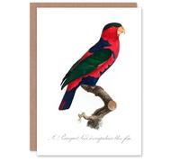 Artery8 Francois Levaillant Art Card The Black Capped Lory Parrot