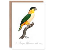 Artery8 Francois Levaillant Art Card The Black Headed Parrot