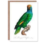 Artery8 Francois Levaillant Art Card The Blue Cheeked Amazon Parrot