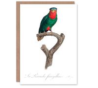 Artery8 Francois Levaillant Art Card The Blue Crowned Lorikeet Parrot
