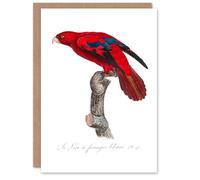Artery8 Francois Levaillant Art Card The Blue Fringed Red Lori Parrot