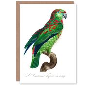 Artery8 Francois Levaillant Art Card The Blue Fronted Amazon Parrot