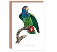Artery8 Francois Levaillant Art Card The Blue Headed Parrot