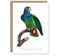 Artery8 Francois Levaillant Art Card The Blue Headed Parrot