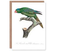 Artery8 Francois Levaillant Art Card The Blue Naped Parrot