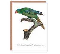 Artery8 Francois Levaillant Art Card The Blue Naped Parrot