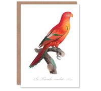 Artery8 Francois Levaillant Art Card The Crimson Shining Parrot