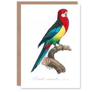 Artery8 Francois Levaillant Art Card The Eastern Rosella Parrot