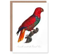 Artery8 Francois Levaillant Art Card The Eclectus Parrot
