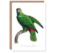 Artery8 Francois Levaillant Art Card The Festive Amazon Parrot
