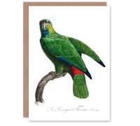 Artery8 Francois Levaillant Art Card The Festive Amazon Parrot