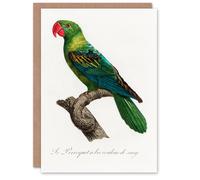 Artery8 Francois Levaillant Art Card The Great Billed Parrot