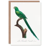 Artery8 Francois Levaillant Art Card The Long Tailed Parakeet