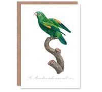 Artery8 Francois Levaillant Art Card The Marigold Lorikeet Parrot
