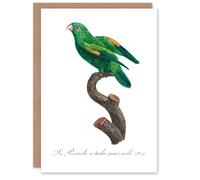 Artery8 Francois Levaillant Art Card The Marigold Lorikeet Parrot