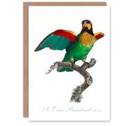 Artery8 Francois Levaillant Art Card The Orange Cheeked Parrot