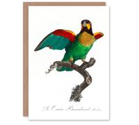 Artery8 Francois Levaillant Art Card The Orange Cheeked Parrot