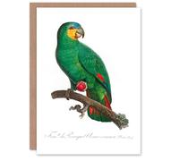 Artery8 Francois Levaillant Art Card The Orange Winged Amazon Parrot