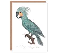 Artery8 Francois Levaillant Art Card The Palm Cockatoo Parrot in White Artery8 White