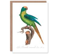 Artery8 Francois Levaillant Art Card The Peach Fronted Parakeet