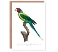 Artery8 Francois Levaillant Art Card The Plum Headed Parakeet