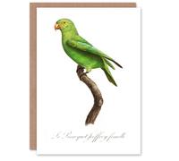 Artery8 Francois Levaillant Art Card The Red Cheeked Parakeet