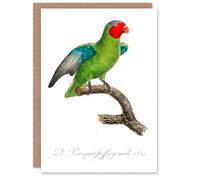 Artery8 Francois Levaillant Art Card The Red Cheeked Parrot