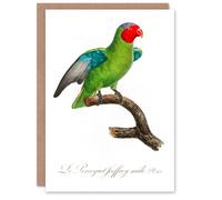 Artery8 Francois Levaillant Art Card The Red Cheeked Parrot