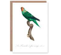 Artery8 Francois Levaillant Art Card The Red Faced Parrot