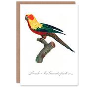 Artery8 Francois Levaillant Art Card The Sun Parakeet Parrot