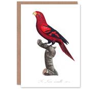 Artery8 Francois Levaillant Art Card The Violet Necked Lory Parrot