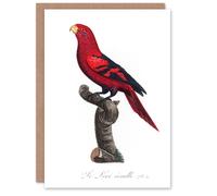 Artery8 Francois Levaillant Art Card The Violet Necked Lory Parrot