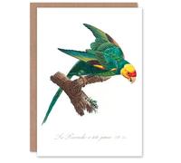 Artery8 Francois Levaillant Art Card The Yellow Crowned Parakeet