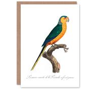 Artery8 Francois Levaillant Art Card The Yellow Fronted Parakeet