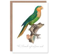 Artery8 Francois Levaillant Art Card The Yellow Headed Amazon Parrot