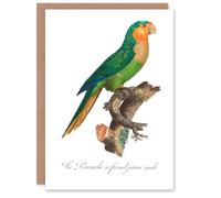 Artery8 Francois Levaillant Art Card The Yellow Headed Amazon Parrot