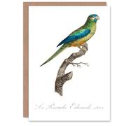 Artery8 Francois Levaillant Art Card Turquoise Ground Parakeet