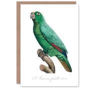 Artery8 Francois Levaillant Art Card Yellow Crowned Amazon Parrot