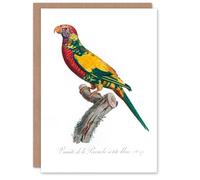 Artery8 Francois Levaillant Personalised Art Card The Rainbow Lorikeet Parrot
