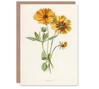 Artery8 Frederick Edward Hulme Art Card Coreopsis Tickseed Flower