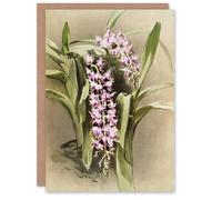 Artery8 Frederick Sander Aerides Savageanum Orchid Flowers Blank Art Greeting Card