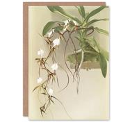 Artery8 Frederick Sander Angraecum Caudatum Orchid Flowers Blank Art Greeting Card