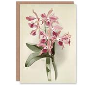 Artery8 Frederick Sander Cattleya Elegans Orchid Flowers Blank Art Greeting Card
