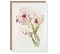 Artery8 Frederick Sander Cattleya Labiata Orchid Flowers Blank Art Greeting Card