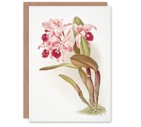 Artery8 Frederick Sander Cattleya Lawrenceana Orchid Flowers Blank Art Greeting Card
