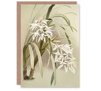Artery8 Frederick Sander Cymbidium Mastersi Orchid Flowers Art Greeting Card Artery8 Multicolor